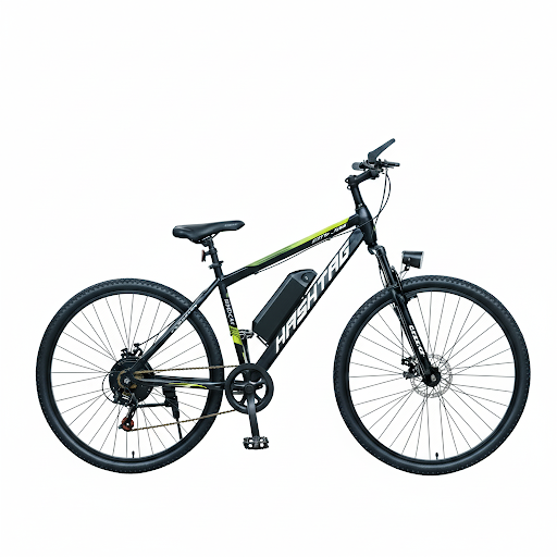 Hub Motor Kit Installed on Cycle