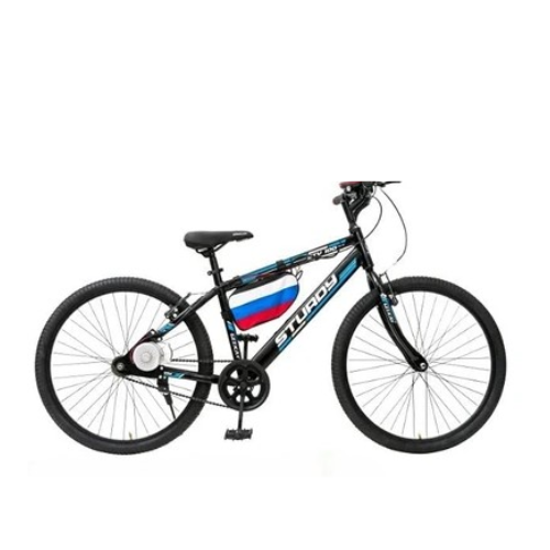 Side Motor Kit Installed on Cycle